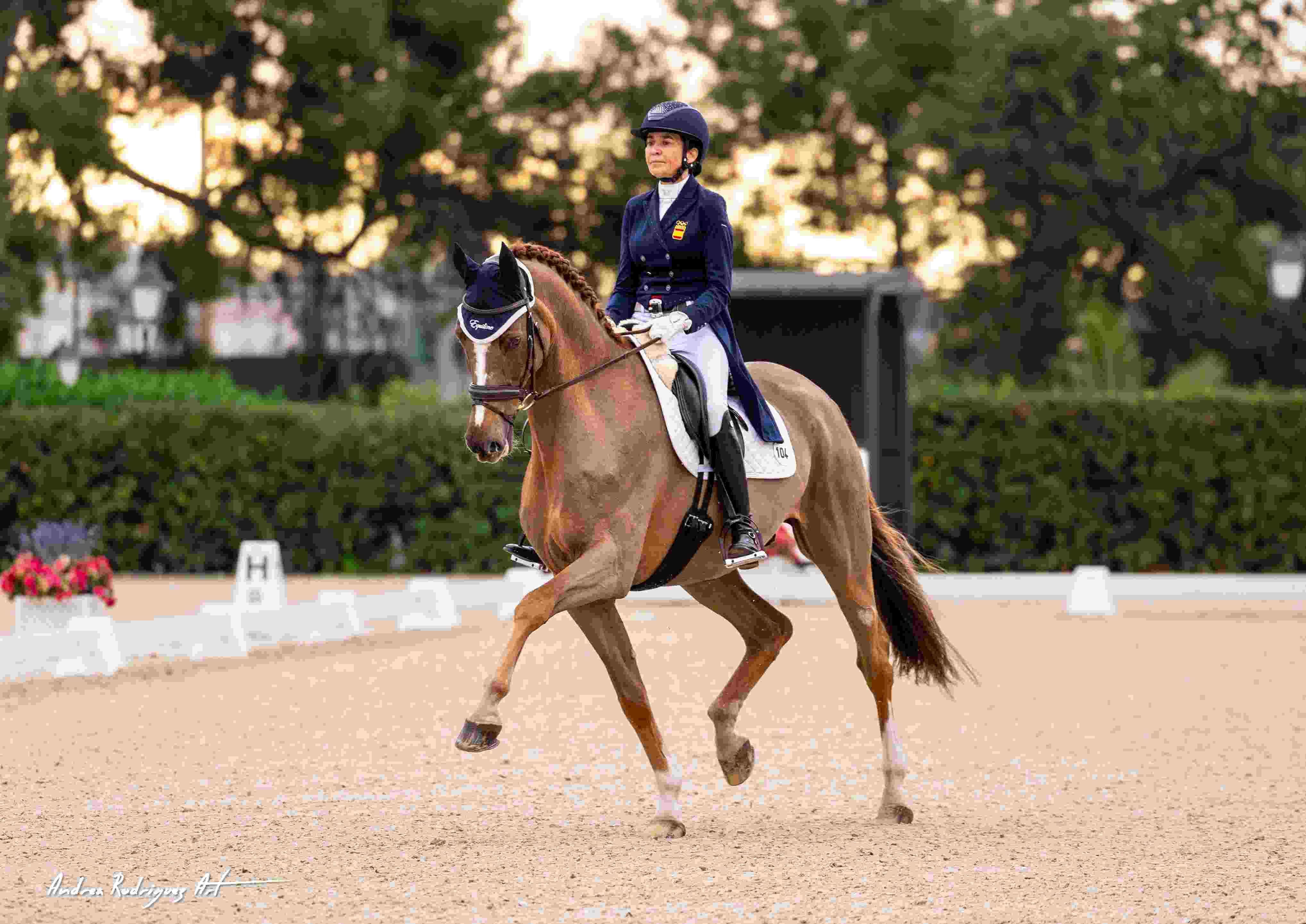 Domingo, Ferrer-Salat y Álvarez, protagonistas en el CDN3* 